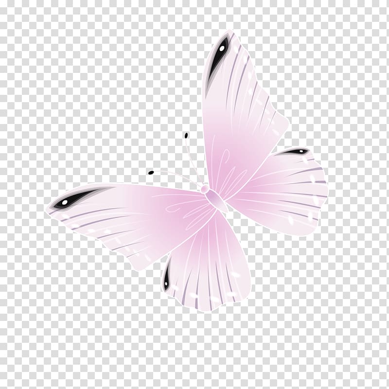 Butterfly Pink , Pink butterfly transparent background PNG clipart