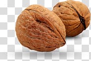 Walnut transparent background PNG clipart