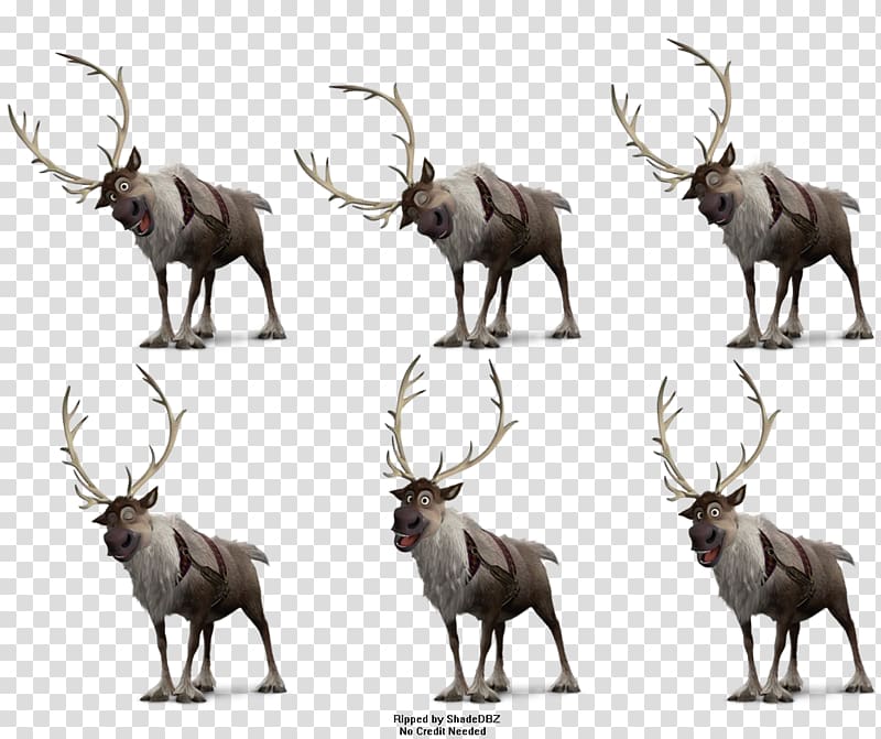 Elk White-tailed deer Moose Antler Frozen Film Series, Reindeer transparent background PNG clipart