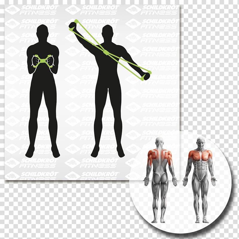 Myofascial trigger point Massage Therapy Muscle Human body, health transparent background PNG clipart