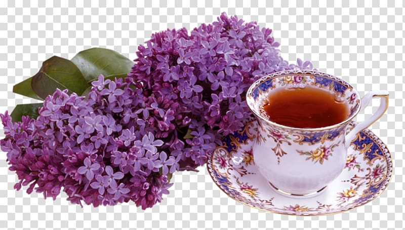 Teacup Coffee Petit four Lilac, lilac flower transparent background PNG clipart