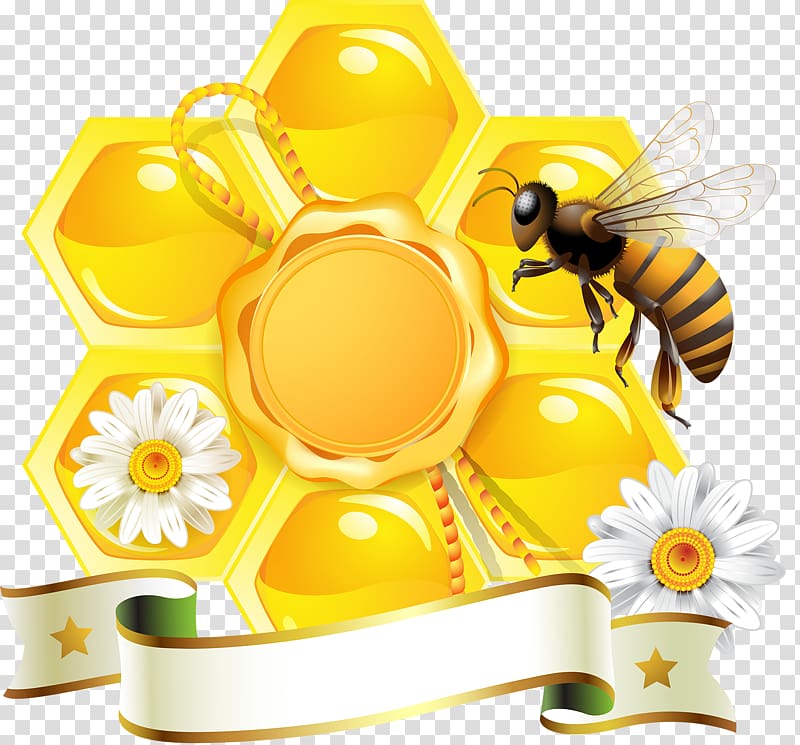 Honey bee graphics Honeycomb, bee transparent background PNG clipart.