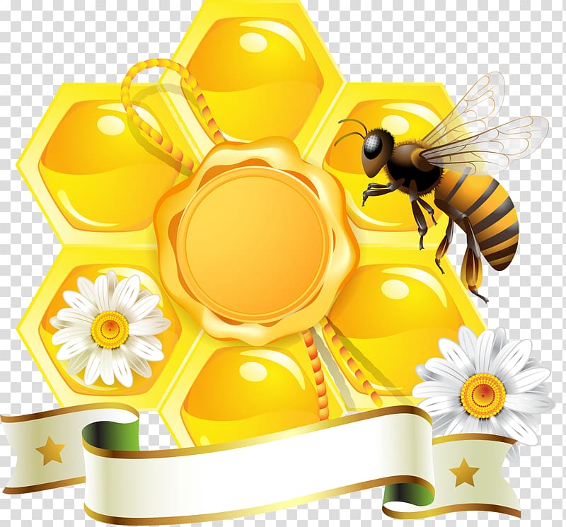 Honey bee graphics Honeycomb, bee transparent background PNG clipart