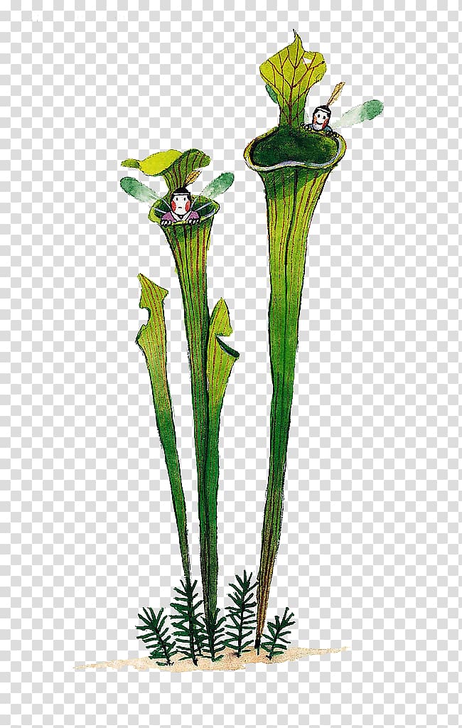 Floral design Plant Watercolor painting, Cartoon cute dragonfly wizard plant transparent background PNG clipart