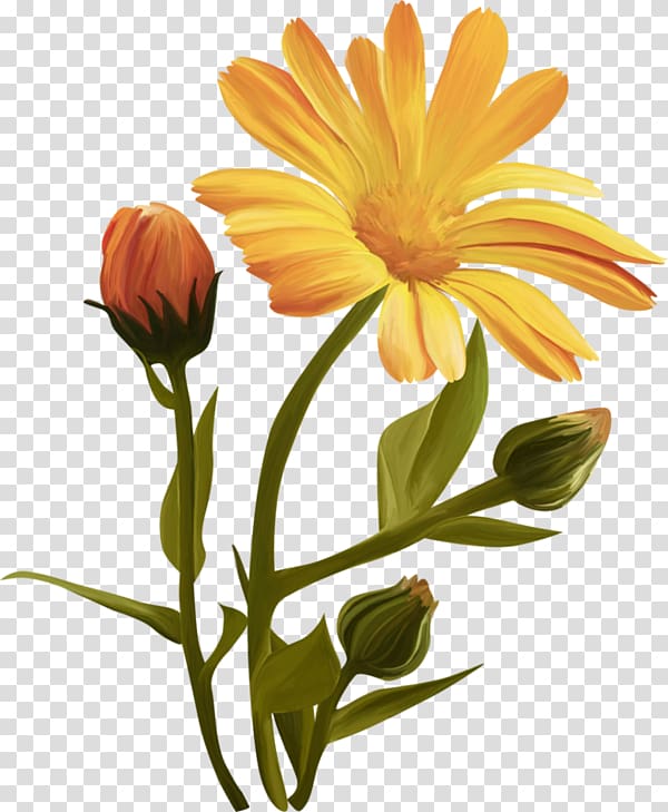 Flower Linkback , Sunflower flower color of lead material transparent background PNG clipart