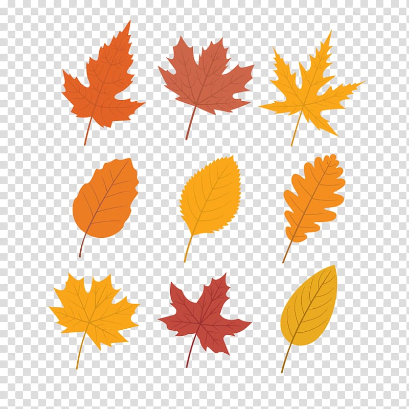 Autumn leaf color Maple leaf, autumn maple leaf transparent background PNG clipart