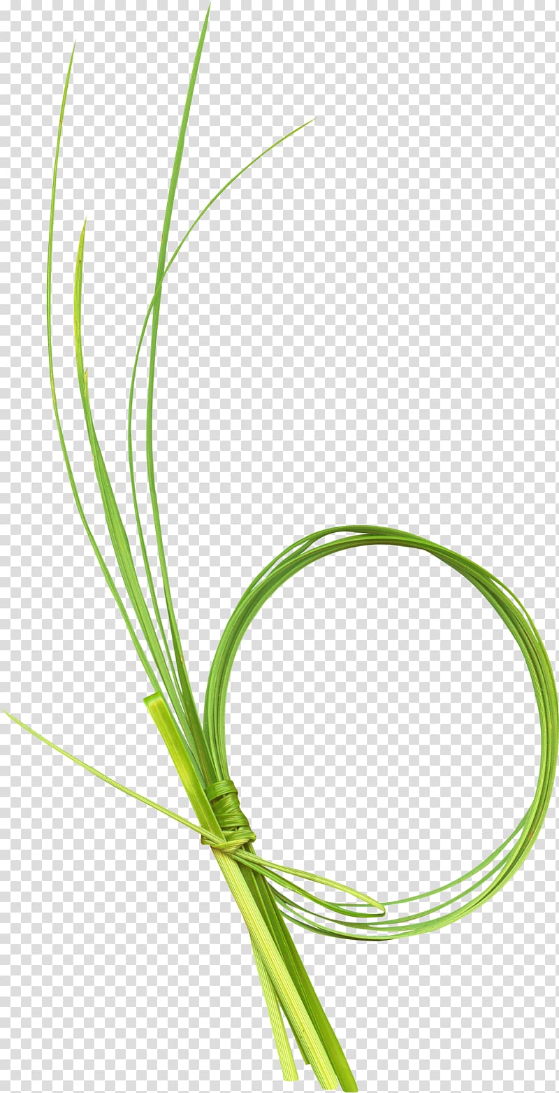 beautiful green grass ring transparent background PNG clipart
