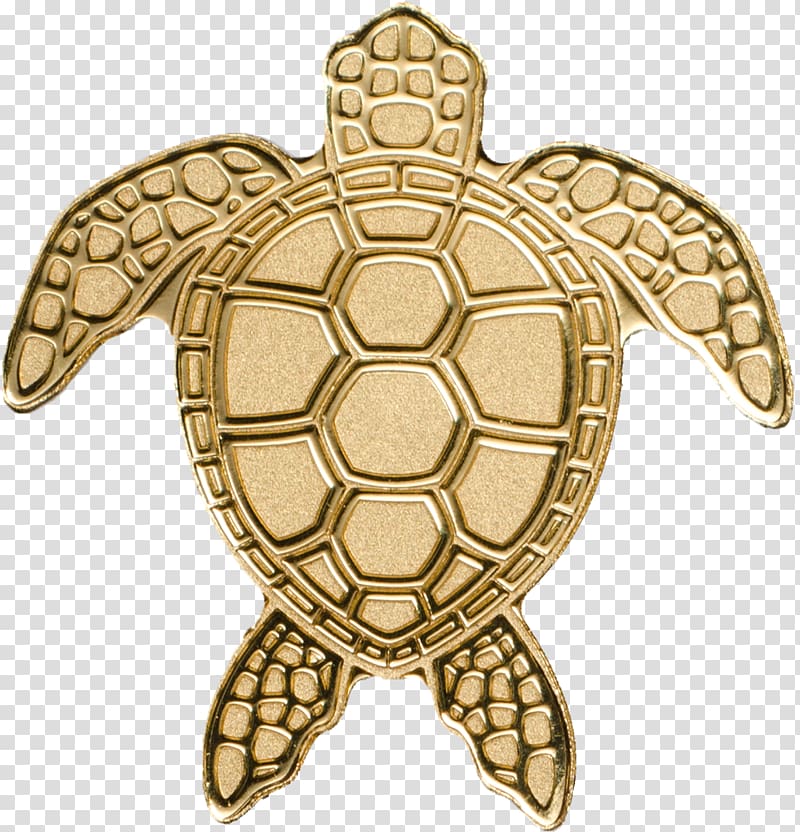 Tortoise Turtle Palau Gold coin, turtle transparent background PNG clipart
