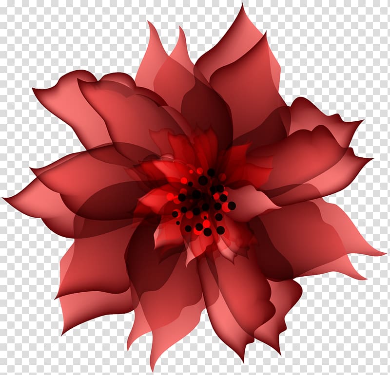 red petaled flower, Red Flower , Decorative Flower Red transparent background PNG clipart