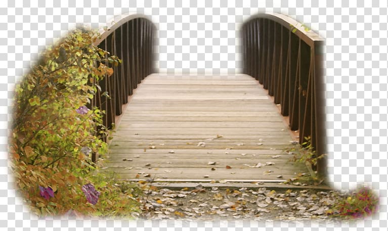 Stairs Bridge feminist strike of 8 March 2018 Earth 0, stairs transparent background PNG clipart
