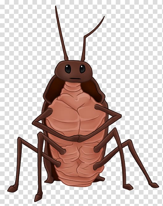 Gregor the Overlander Gregor and the Prophecy of Bane Gregor and the Curse of the Warmbloods Cockroach The Underland Chronicles, cockroach transparent background PNG clipart