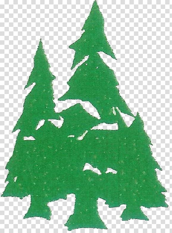 Christmas tree Spruce Social media Fir, christmas tree transparent background PNG clipart