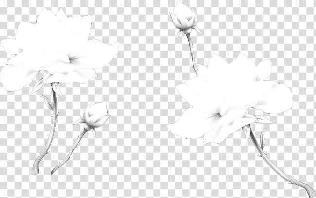 Black and white Sketch, Lotus material transparent background PNG clipart