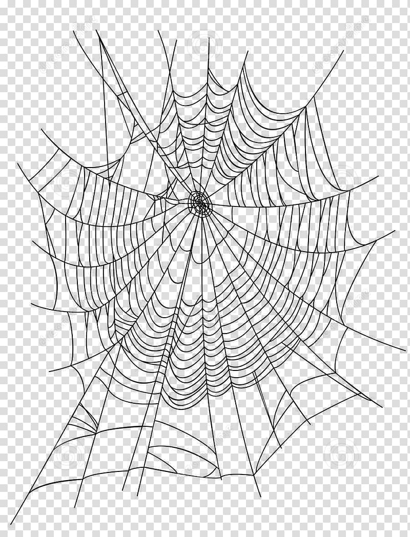 Spider web Euclidean Illustration, Creative cartoon spider web spider web icon transparent background PNG clipart