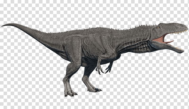 Tyrannosaurus Primal Carnage: Extinction Acrocanthosaurus Dinosaur King, dinosaur transparent background PNG clipart