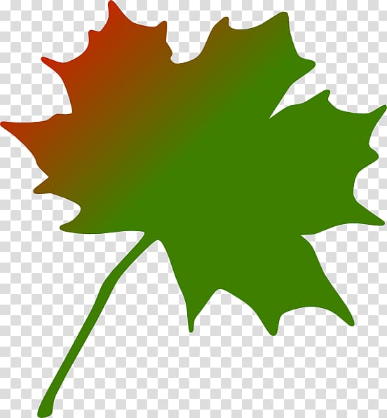 Maple leaf Canada , Canada transparent background PNG clipart