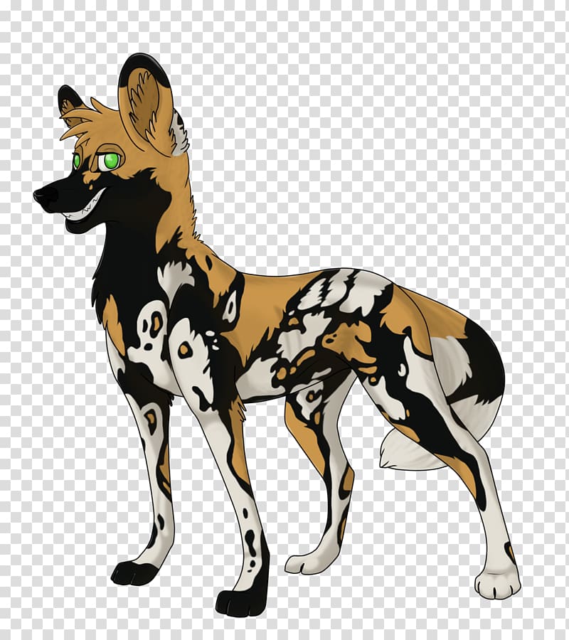 African wild dog Puppy Dhole Drawing, Dog transparent background PNG clipart