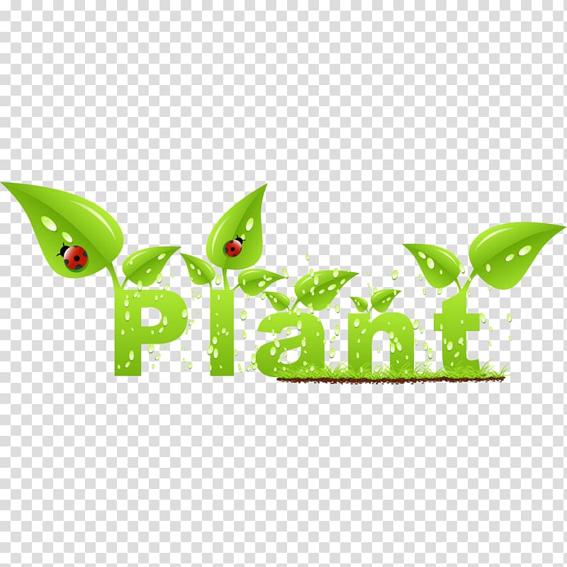 Leaf Euclidean Ladybird Ecology, Grow leaves English word transparent background PNG clipart