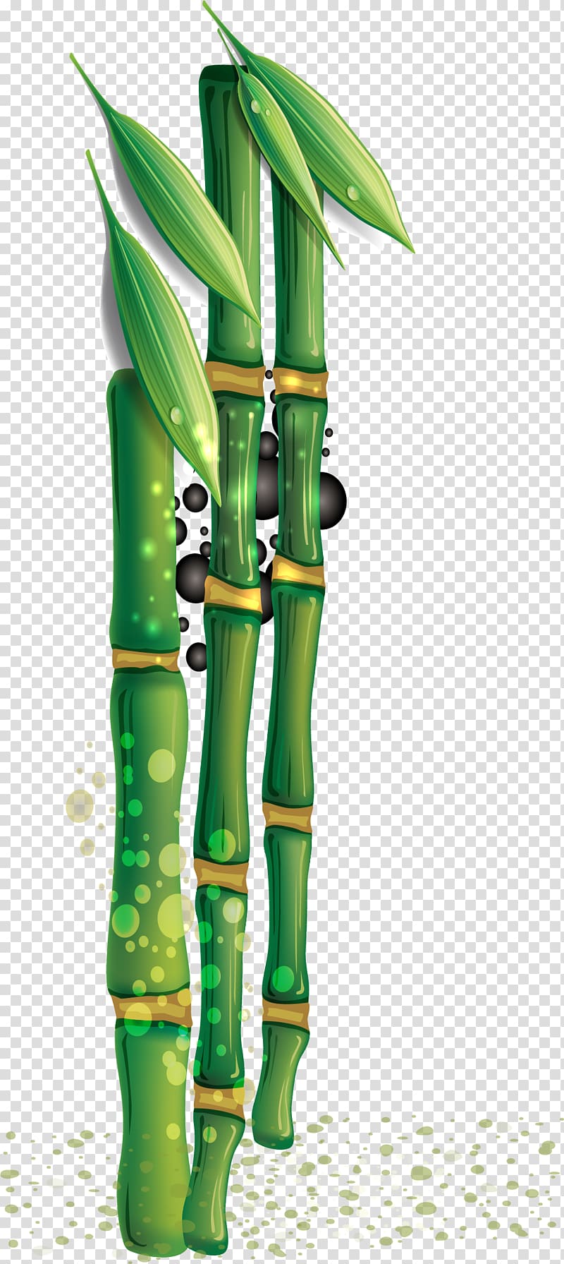 Bamboo , Hand painted green bamboo transparent background PNG clipart
