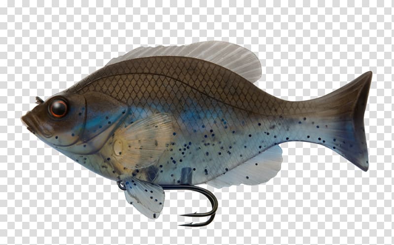 Perch Fishing Baits & Lures Soft plastic bait, fish transparent background PNG clipart