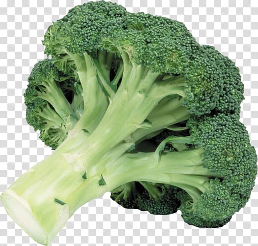 Broccoli Leaf vegetable Food Cabbage, cabbage transparent background PNG clipart