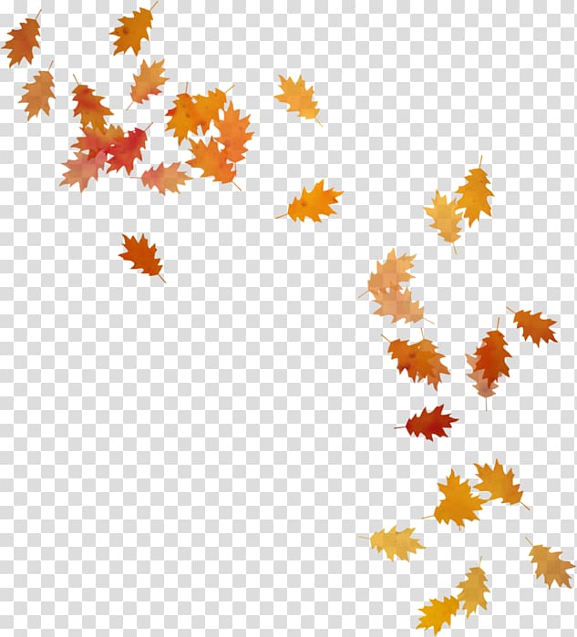 Autumn leaf color Portable Network Graphics Maple leaf, autumn transparent background PNG clipart