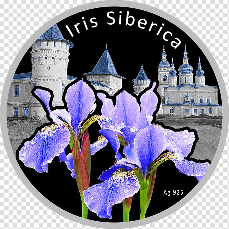 Irises Silver coin Silver coin Niue, Tobolsk Kremlin transparent background PNG clipart