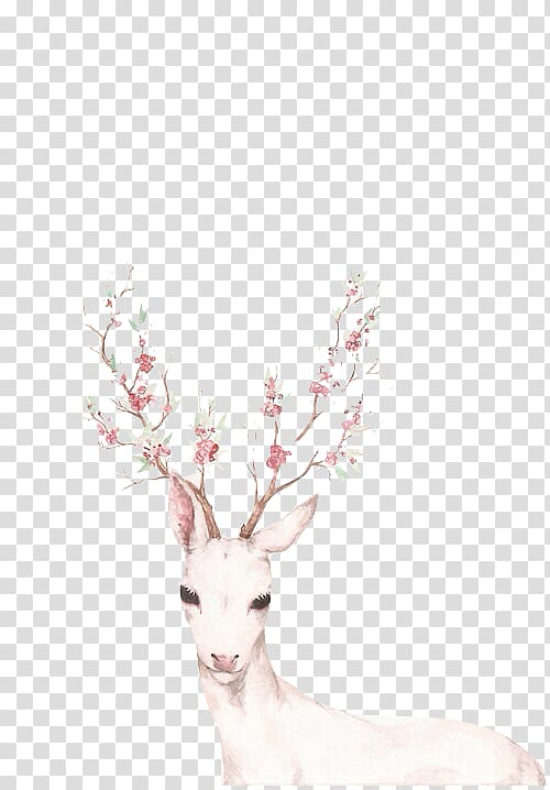 Reindeer Antler Drawing, White tailed deer transparent background PNG clipart