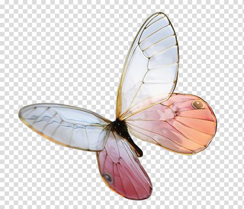 Sakae, Nagoya Kanzashi Hairpin Hair stick, Flying butterfly transparent background PNG clipart