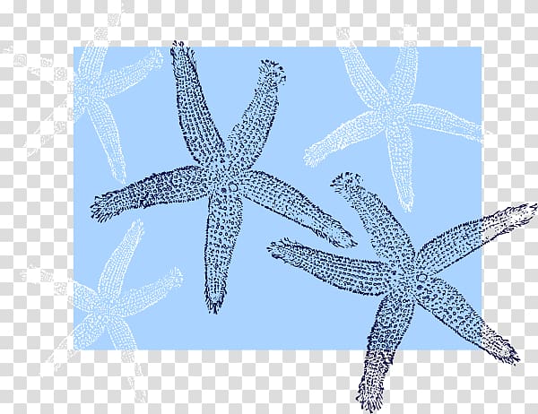 Starfish Echinoderm Beach Bag Unisex, starfish cartoon transparent background PNG clipart