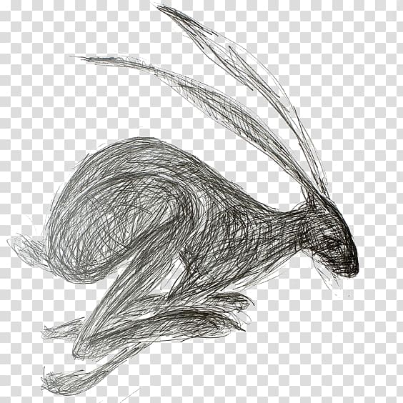 European hare Drawing Rabbit Watercolor painting Art, rabbit transparent background PNG clipart