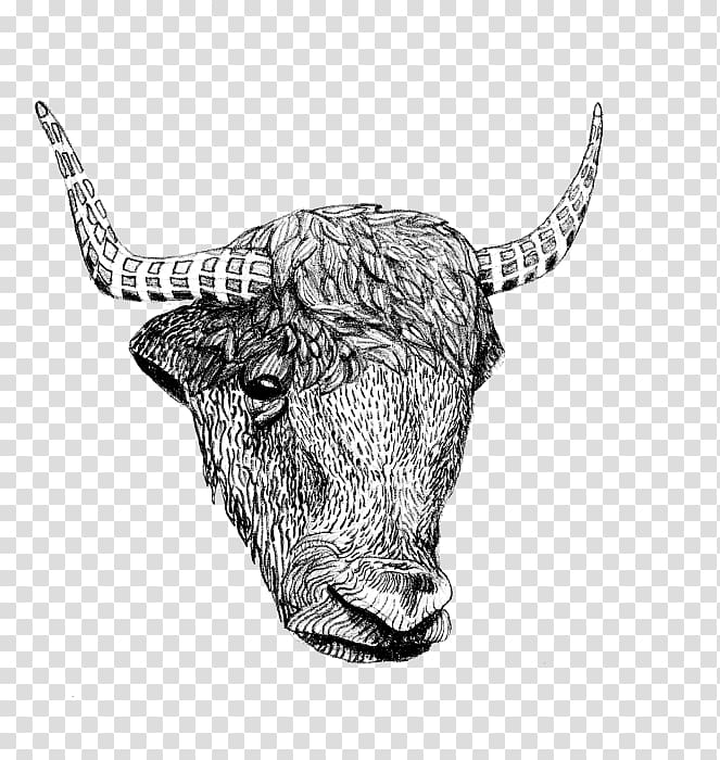 Texas Longhorn English Longhorn Ox, bull transparent background PNG clipart