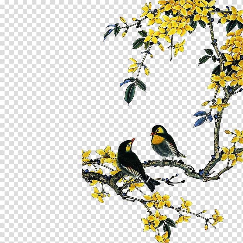 two black-and-yellow birds, Chinese Birds Chinese painting Bird-and-flower painting, Yellow peach transparent background PNG clipart