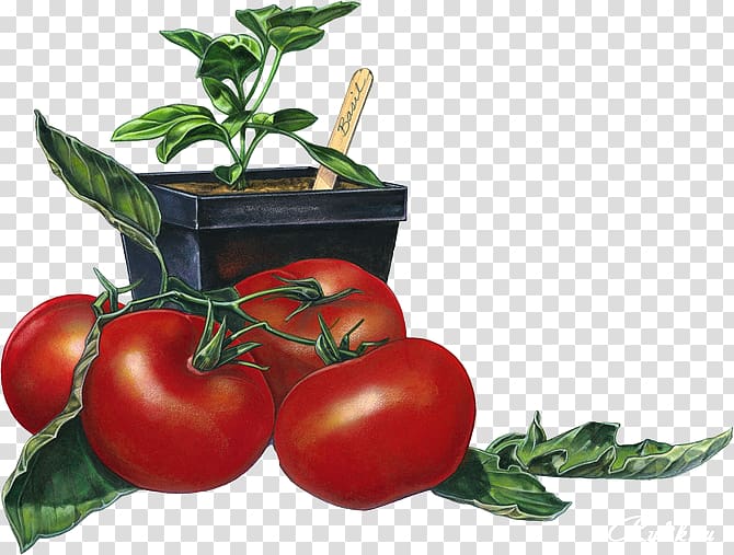 Bush tomato Tomato juice Bruschetta Italian cuisine Mamma DiSalvo's, vegetable transparent background PNG clipart