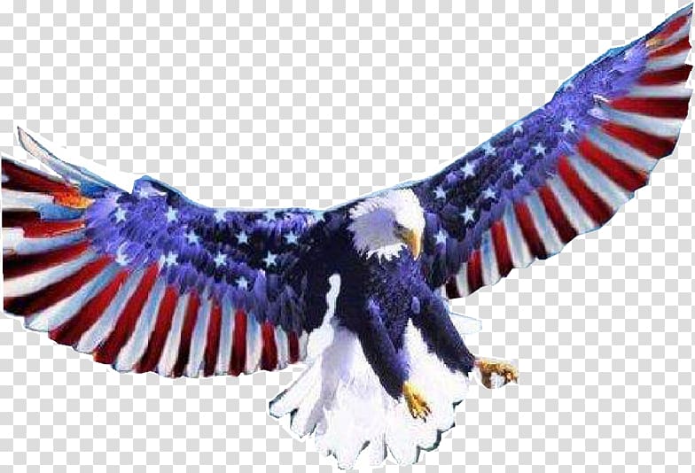 Bald Eagle Eagles Nest Deli White-tailed Eagle Philadelphia Eagles, eagle flag transparent background PNG clipart