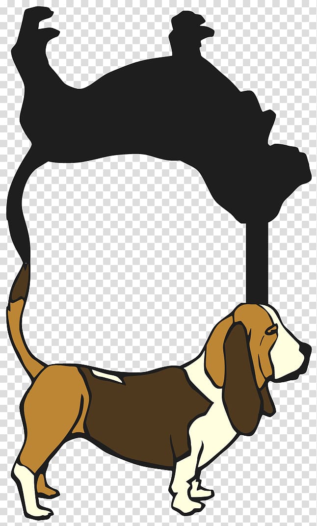 Dog breed Beagle Puppy Basset Hound , basset hound transparent background PNG clipart