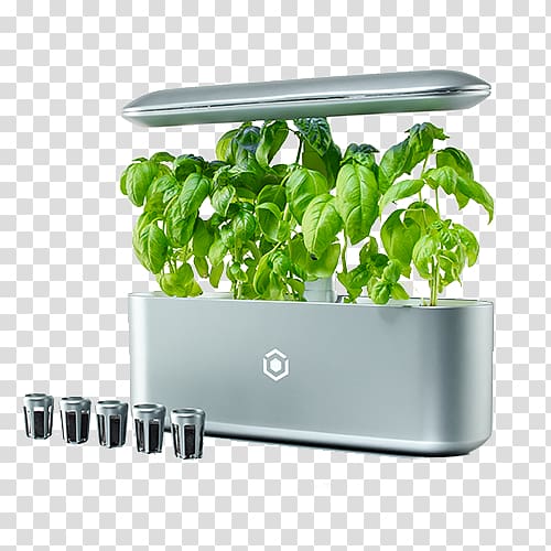 Gardening Hydroponics Garden design Kitchen garden, vegetable plant transparent background PNG clipart