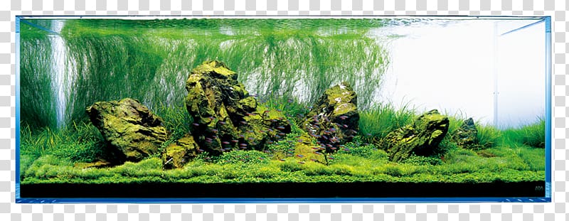 Aquariums Aquascaping Aqua Design Amano Rock, lush tree transparent background PNG clipart