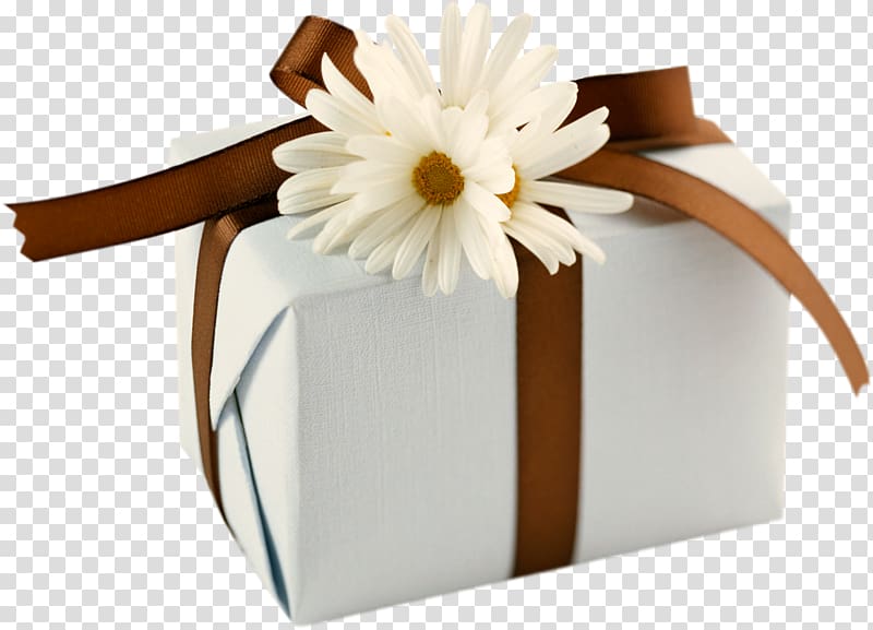 Gift Wrapping Box Desktop , camomile transparent background PNG clipart