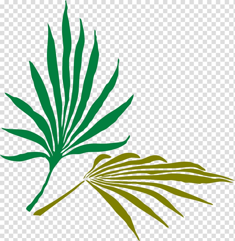 Palm branch Frond Arecaceae , black and white flowers branch transparent background PNG clipart