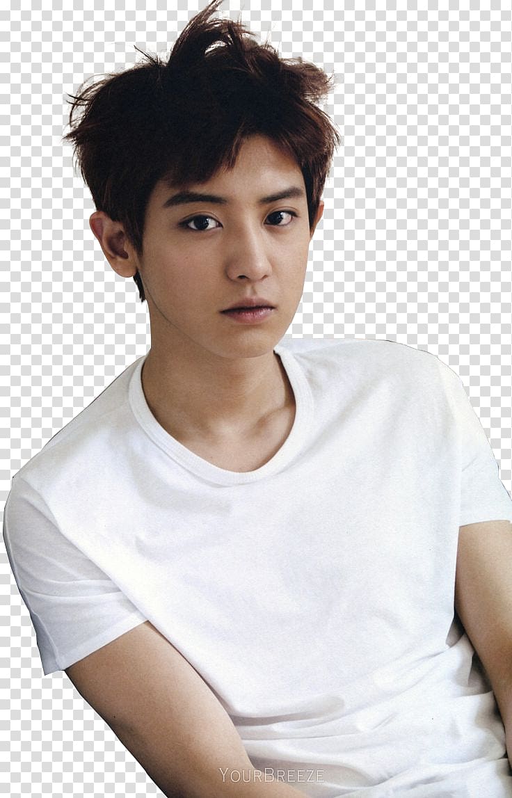 Chanyeol EXO Musician, others transparent background PNG clipart