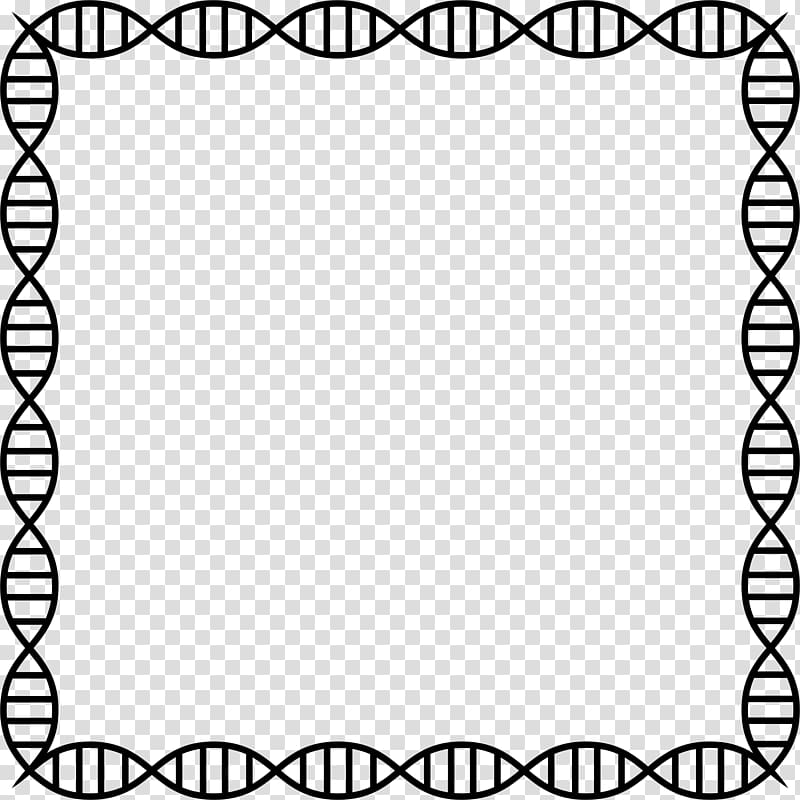 Nucleic acid double helix DNA profiling , embedded frame transparent background PNG clipart