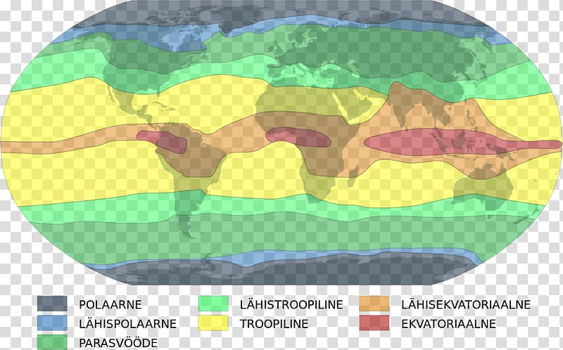 Tropical rainforest climate Alisovo klimato klasifikacija Weather Temperate climate, weather transparent background PNG clipart