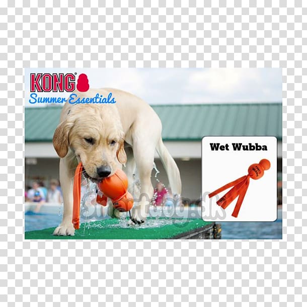 Dog Toys Kong Company Puppy, Dog transparent background PNG clipart