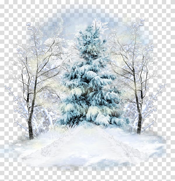 Spruce Winter Centerblog Portable Network Graphics, country setting bel air transparent background PNG clipart
