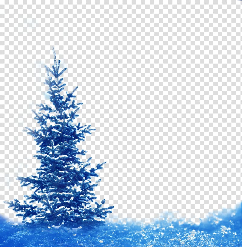 Spruce Fir Winter Snow Landscape, Fantasy blue snowflake pine festive decorations transparent background PNG clipart