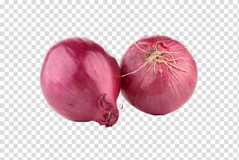 Red onion Shallot , Free creative pull onions transparent background PNG clipart