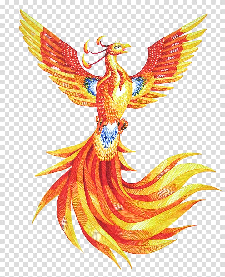 yellow and red phoenix , Phoenix Drawing , Phoenix HD transparent background PNG clipart