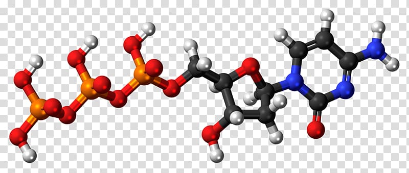 Uridine triphosphate Cytidine Ribose Uridine monophosphate, others transparent background PNG clipart