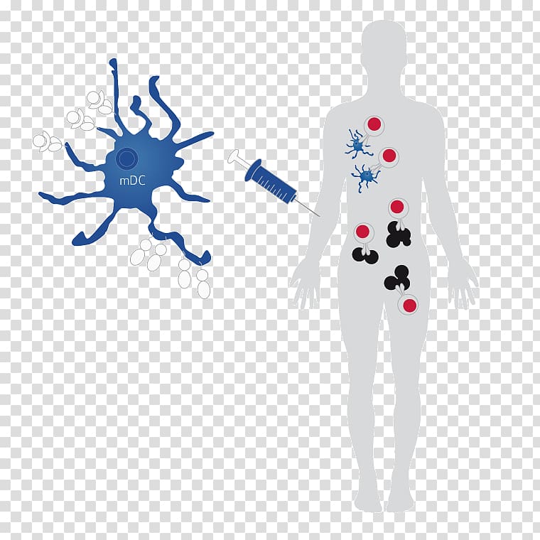 Dendritic cell-based cancer vaccine Dendritic cell-based cancer vaccine Acute myeloid leukemia, Dendritic Cell transparent background PNG clipart